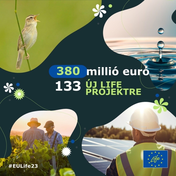 Az EU több mint 380 millió eurót fektet be 133 új LIFE projektbe – köztük két magyar érintettségű projektbe – a zöld átállás támogatása érdekében