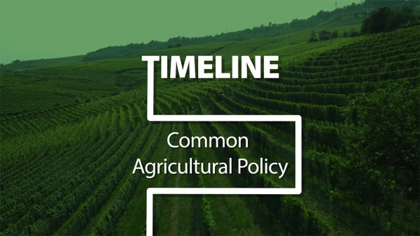Közös agrárpolitika: hogyan támogatja az EU a gazdákat?